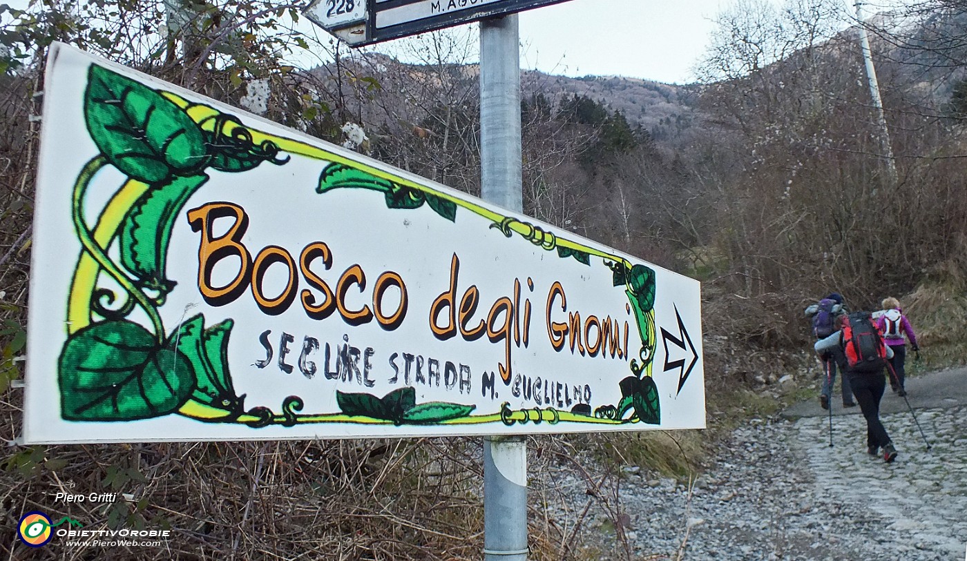 08 Sul sentiero 227 - Bosco degli Gnomi  .JPG